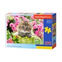 Пазл Castorland Kitten in Flower Garden 100эл B-111039 Котенок в цветочном саду