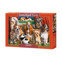 C-300501-MLT Пазл Castorland Dog Club 3000эл C-300501 Собаки фото від «Маленька Країна» Дніпро Україна