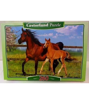 Пазл Castorland 260эл B-26784 Лошадь и жеребенок Castorland - 1