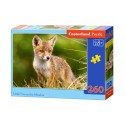 Пазл Castorland Little Fox on the Meadow 260эл B-27354 Маленькая лиса на лугу