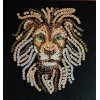 Набір для творчості з паєток 'Король звірів' 25*25*2 см в цветной коробке APT 03-01-Колібрі Art